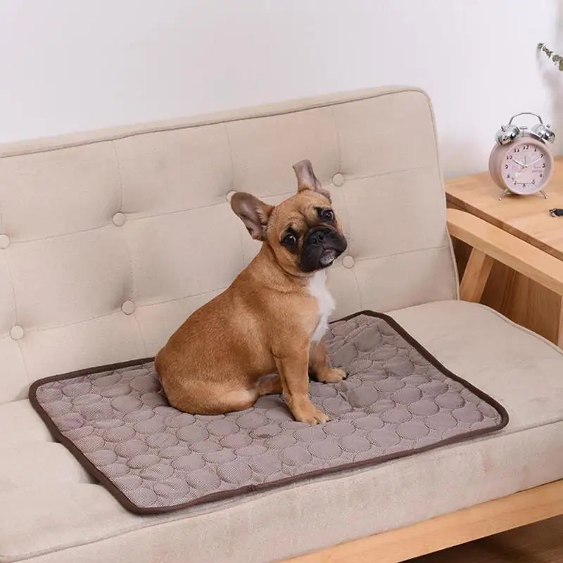 ❄️ Kühlende Hundematte – Sommerunterlage für Hunde & Katzen