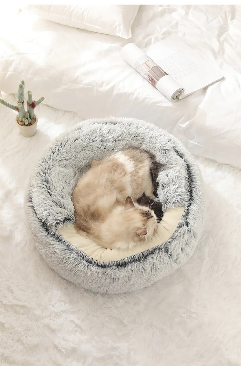 🛏️ Plüsch-Haustierbett mit erhöhtem Rand – Wärme, Sicherheit & Geborgenheit für kleine Hunde & Katzen